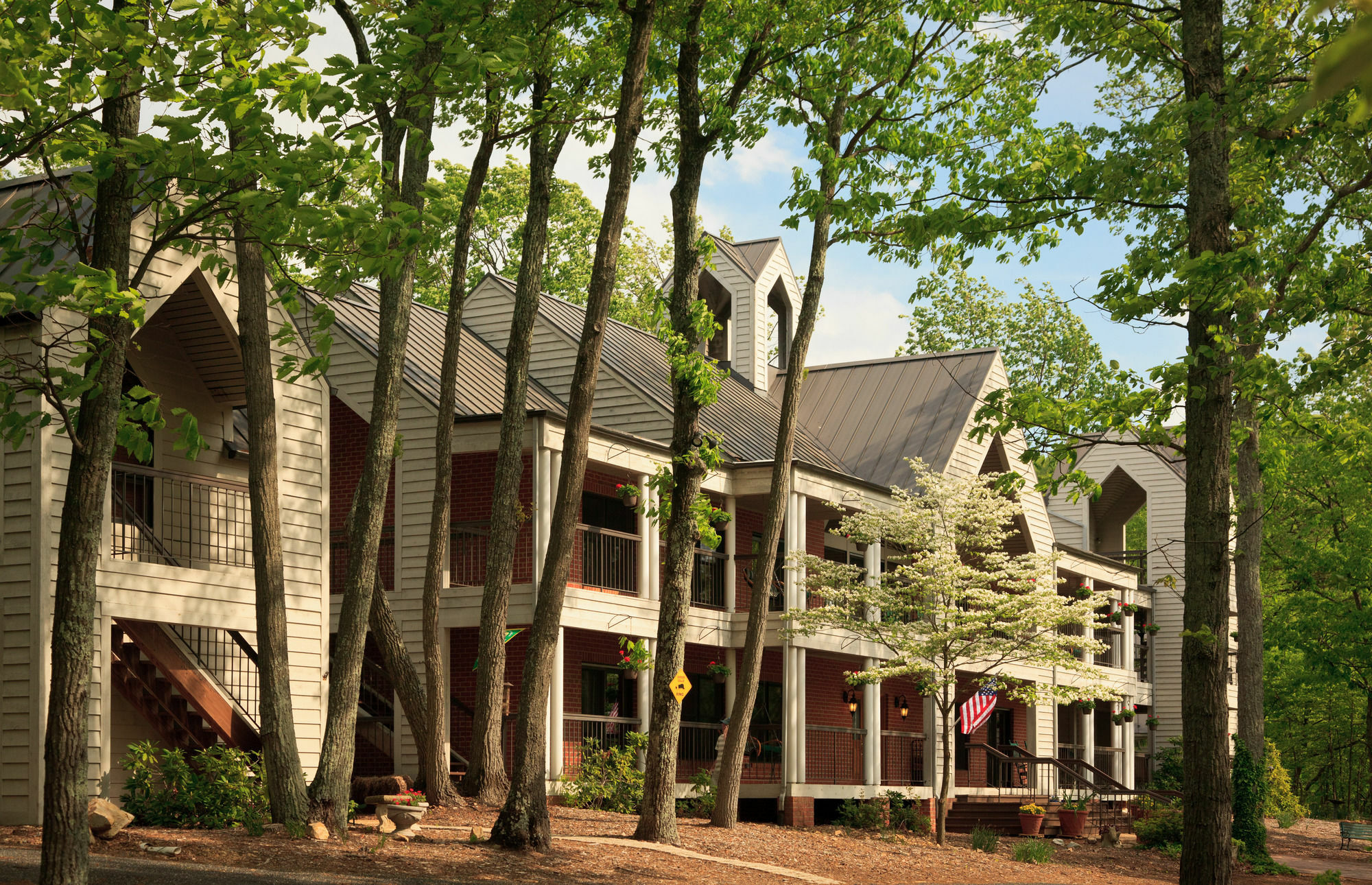Iris Inn & Cabins 韦恩斯伯勒 外观 照片